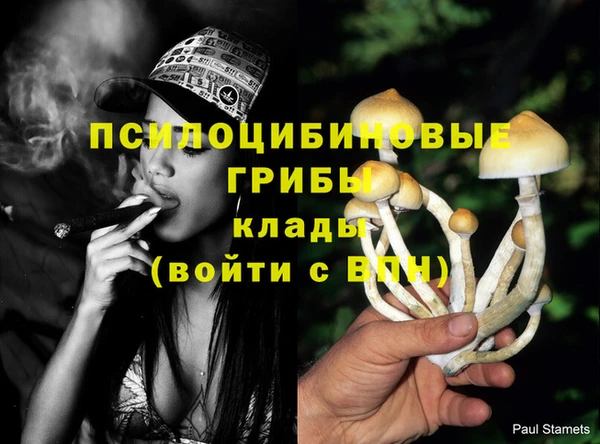 спайс Волоколамск
